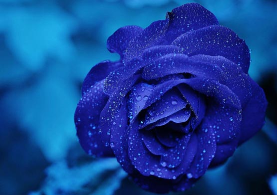 
武汉高端私人工作室喝茶